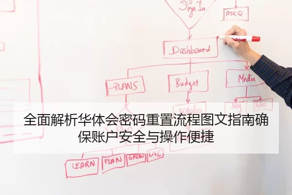 全面解析华体会密码重置流程图文指南确保账户安全与操作便捷