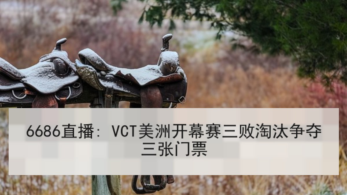 6686直播: VCT美洲开幕赛三败淘汰争夺三张门票