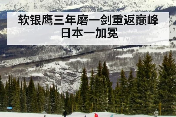 软银鹰三年磨一剑重返巅峰日本一加冕 | 6686.com