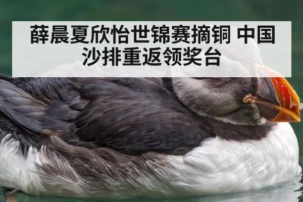 薛晨夏欣怡世锦赛摘铜 中国沙排重返领奖台